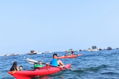 IMG-20230702-WA0023